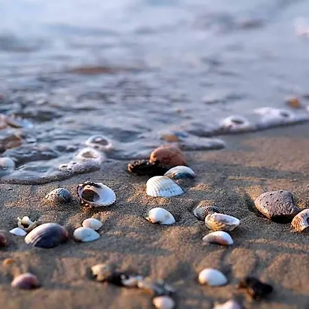 Surrounded By Nature In Bibione
